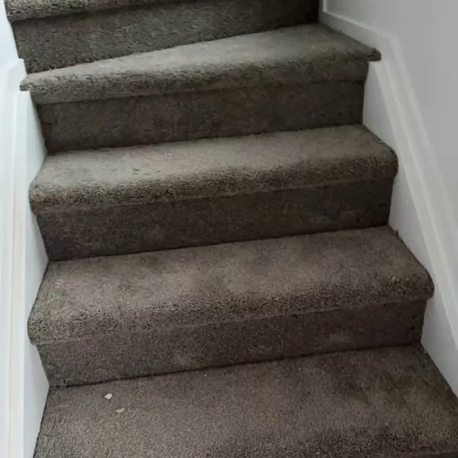Carpeted staircase with fresh paintwork